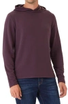 Threads 4 Thought Threads For Thought Dex Featherweight Pullover Hoodie In Peppercorn