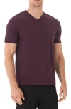 Threads 4 Thought V-neck Slub T-shirt In Purple