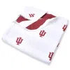 THREE LITTLE ANCHORS INFANT THREE LITTLE ANCHORS INDIANA HOOSIERS 47" X 47" MUSLIN 4-LAYER BLANKET
