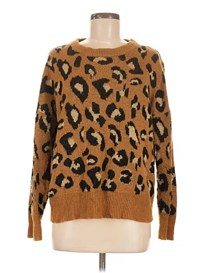 Pre-owned Thyme And Honey Pullover Sweater In Brown