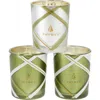 Thymes Frasier Fir Frosted Plaid Votive Trio In Green