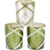 Thymes Frasier Fir Frosted Plaid Votive Trio In Green/clear