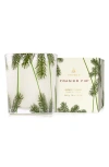 Thymes Frasier Fir Pine Needle Poured Candle In Green