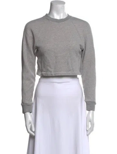 Pre-owned Tibi Crew Neck Long Sleeve Crop Top In Gray