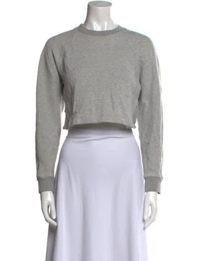 Pre-owned Tibi Crew Neck Long Sleeve Crop Top In Gray