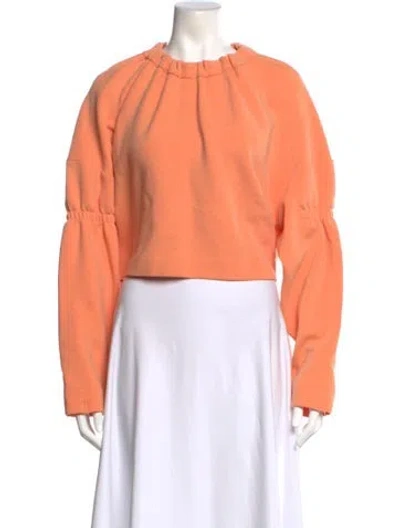 Pre-owned Tibi Crew Neck Long Sleeve Crop Top In Orange