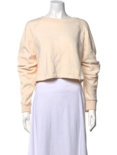 Pre-owned Tibi Crew Neck Long Sleeve Sweatshirt In Neutrals