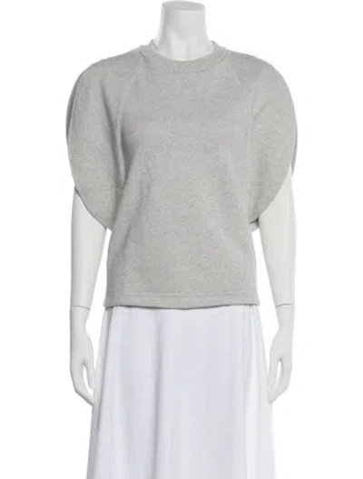 Pre-owned Tibi Crew Neck Short Sleeve Sweatshirt In Gray