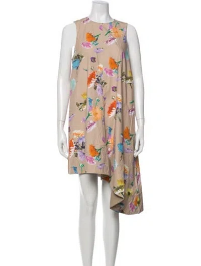 Pre-owned Tibi Floral Print Mini Dress In Neutrals