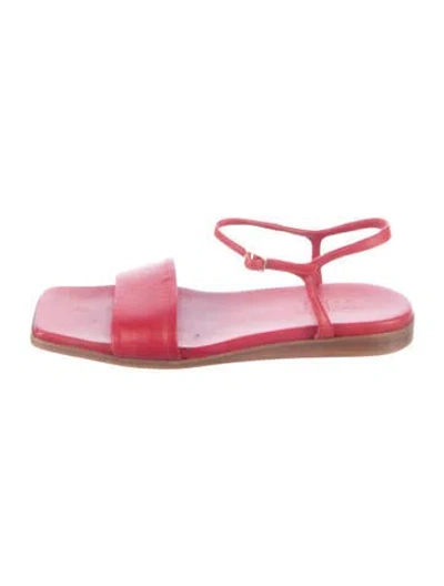 Pre-owned Tibi Leather Sandals In Pink