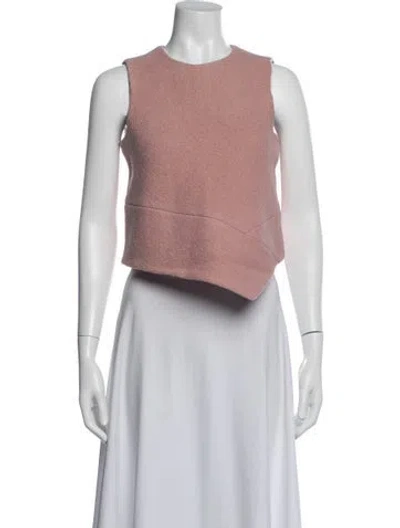Pre-owned Tibi Virgin Wool Crew Neck Top In Pink
