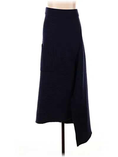Pre-owned Tibi Wool Skirt In Blue