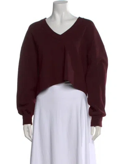 Pre-owned Tibi Wool V-neck Sweater In Burgundy
