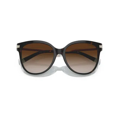 Tiffany & Co 0tf4193b Rounded Tortoiseshell Sunglasses In Brown