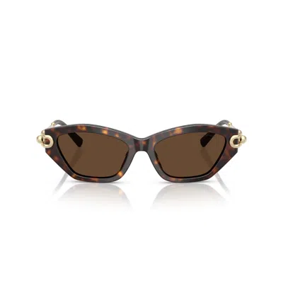 Tiffany & Co 0tf4231u Cat-eye Sunglasses In Tortoiseshell Acetate In Brown