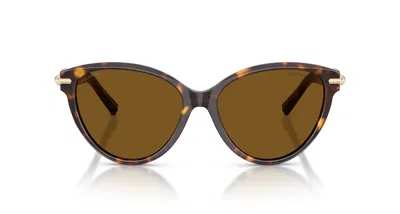 Tiffany & Co 0tf4261 Rounded Cat-eye Sunglasses In Brown