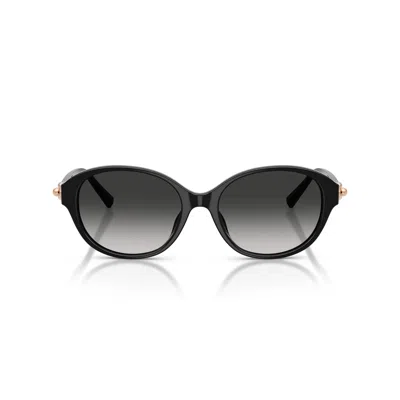 Tiffany & Co 0tf4263d Rounded Black Acetate Sunglasses