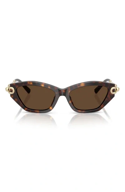 Tiffany & Co . 53mm Cat Eye Sunglasses In Brown