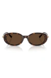 Tiffany & Co . 54mm Oval Sunglasses In Brown