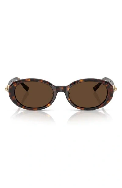 Tiffany & Co . 54mm Oval Sunglasses In Brown