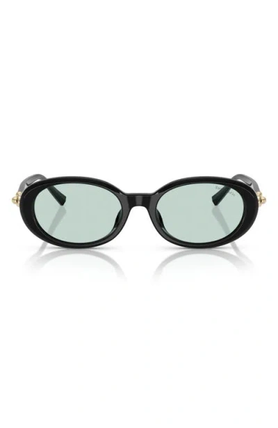 Tiffany & Co . 54mm Oval Sunglasses In Black