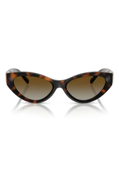 Tiffany & Co . 54mm Polarized Gradient Oval Sunglasses In Havana