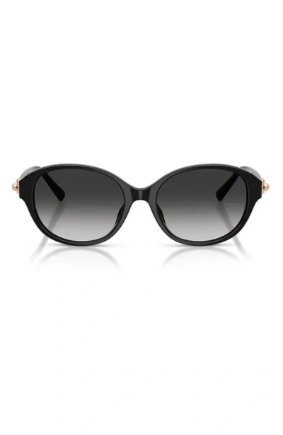 Tiffany & Co . 54mm Round Sunglasses In Black