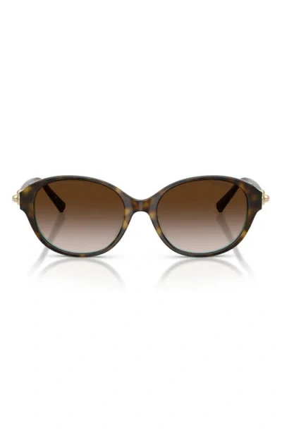 Tiffany & Co . 54mm Round Sunglasses In Multi