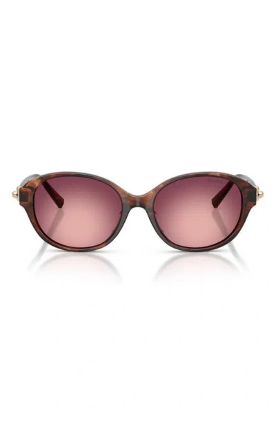 Tiffany & Co . 54mm Round Sunglasses In Pink