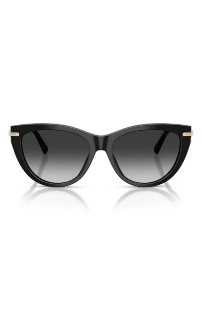 Tiffany & Co . 55mm Cat Eye Sunglasses In Black
