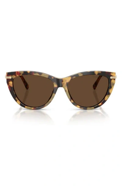 Tiffany & Co . 55mm Cat Eye Sunglasses In Brown