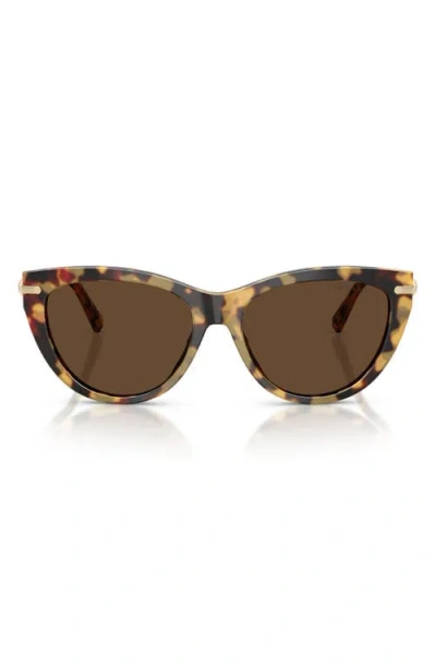 Tiffany & Co . 55mm Cat Eye Sunglasses In Brown