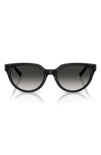 Tiffany & Co . 55mm Gradient Cat Eye Sunglasses In Orange