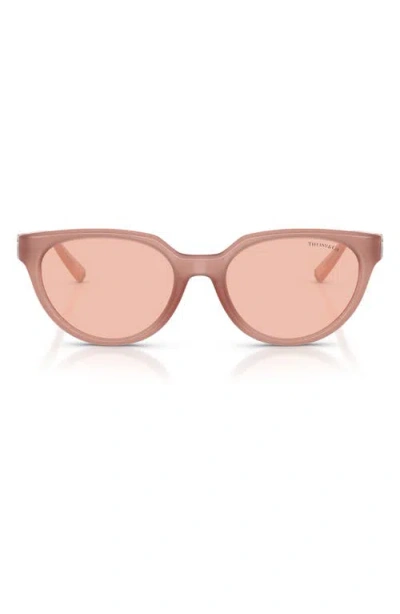 Tiffany & Co . 55mm Gradient Cat Eye Sunglasses In Pink