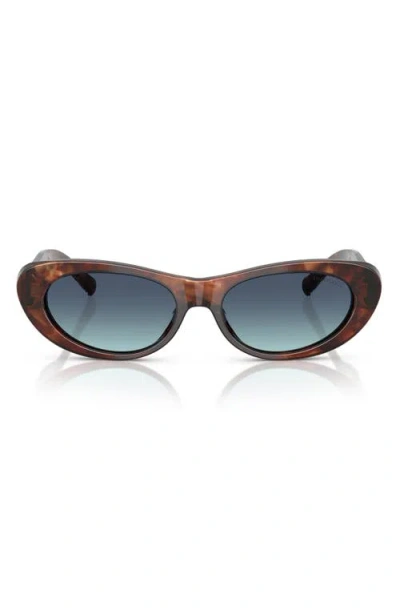 Tiffany & Co . 55mm Oval Sunglasses In Brown