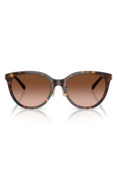 Tiffany & Co . Woman Sunglass Tf4243d In Brown
