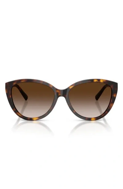 Tiffany & Co . 56mm Cat Eye Sunglasses In Brown
