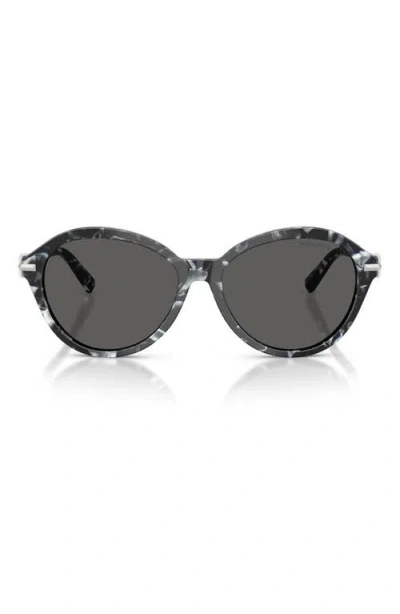 Tiffany & Co . 56mm Gradient Round Sunglasses In Havana Madreperla/dark Grey