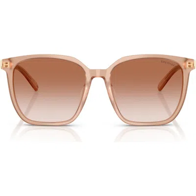 Tiffany & Co . 56mm Gradient Square Sunglasses In Brown