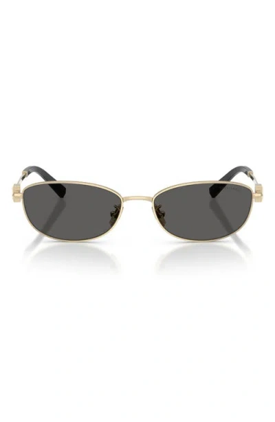 Tiffany & Co . 56mm Oval Sunglasses In Black