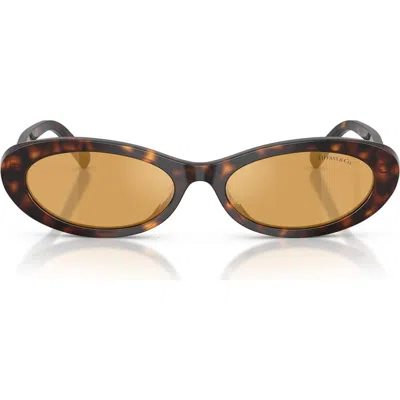 Tiffany & Co . 56mm Oval Sunglasses In Brown