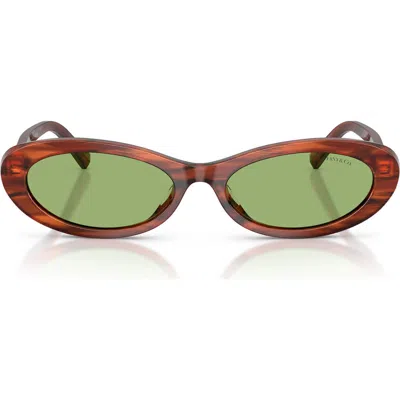Tiffany & Co . 56mm Oval Sunglasses In Brown