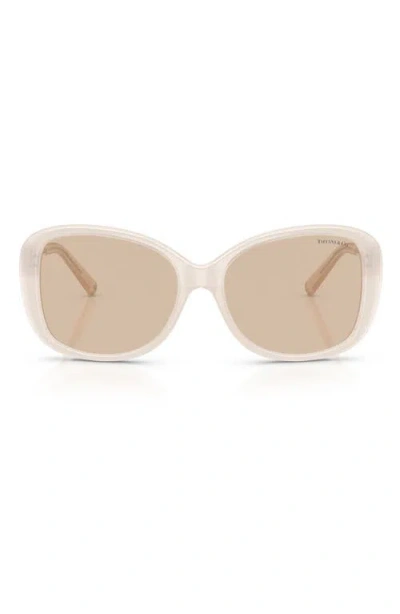 Tiffany & Co . 56mm Pillow Sunglasses In Brown