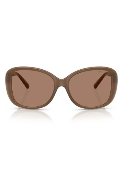 Tiffany & Co . 56mm Pillow Sunglasses In Brown