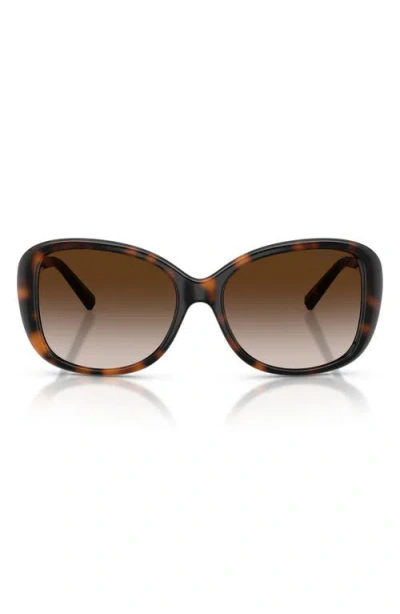 Tiffany & Co . 56mm Pillow Sunglasses In Brown