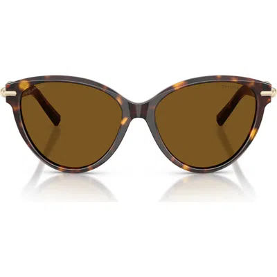 Tiffany & Co . 56mm Polarized Cat Eye Sunglasses In Brown