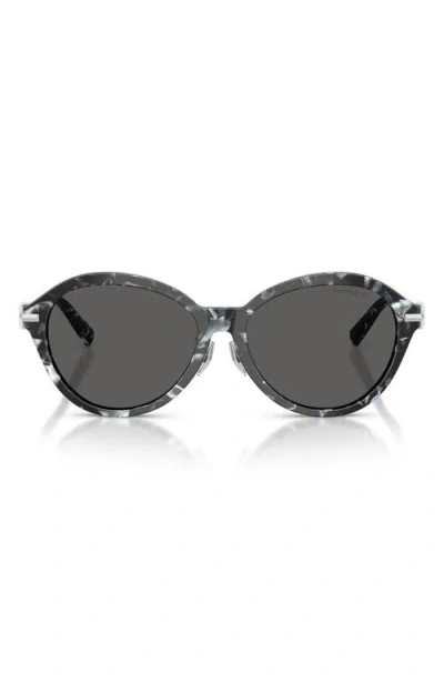 Tiffany & Co . 56mm Round Sunglasses In Havana Madreperla/dark Grey