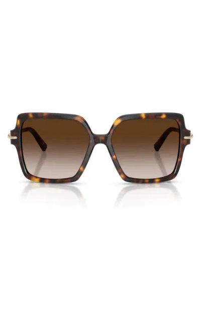 Tiffany & Co . 57mm Square Sunglasses In Brown