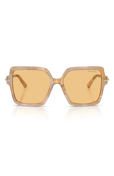Tiffany & Co . 57mm Square Sunglasses In Brown
