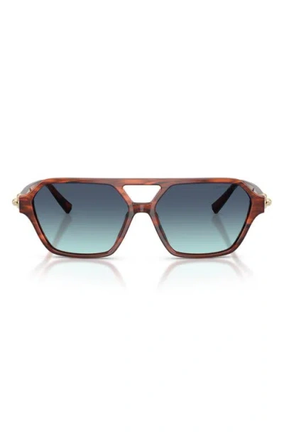 Tiffany & Co . 58mm Square Sunglasses In Brown